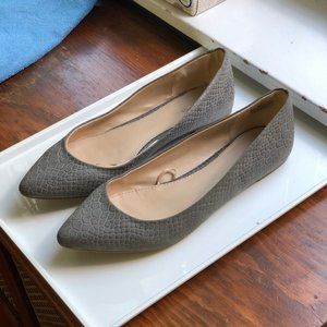 Express Pointed-Toe Flats Size 8